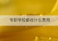 专职学校都收什么费用(私人学校交多少钱学费)