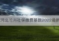 河北沧州社保缴费基数2022最新(2022河北社保缴费基数)