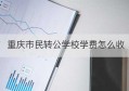 重庆市民转公学校学费怎么收(重庆私转公学校收费标准)