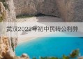 武汉2022年初中民转公利弊(武汉公办转民办学籍怎么转)