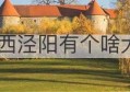 陕西泾阳有个啥大学(陕西省泾阳县属于哪个市)