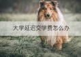 大学延迟交学费怎么办