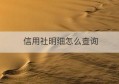 信用社明细怎么查询(信用社查明细怎么查)