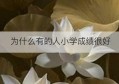 为什么有的人小学成绩很好(小学数学成绩差的原因及整改措施)