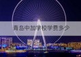 青岛中加学校学费多少(青岛中加学校教师待遇咋样)