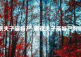 南京夫子庙特产-南京夫子庙特产有哪些