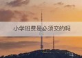 小学班费是必须交的吗(小学的班费一个学期收多少)