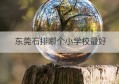 东莞石排哪个小学校最好(东莞石排哪个小学最好)