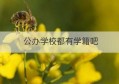 公办学校都有学籍吧(公办学校一定要有户口吗)