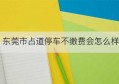 东莞市占道停车不缴费会怎么样(东莞马路上停车位不交费会怎么样)