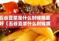 五谷豆浆是什么时候喝最好（五谷豆浆什么时候喝有助于减肥）