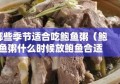 哪些季节适合吃鲍鱼粥（鲍鱼粥什么时候放鲍鱼合适）