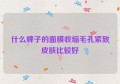 什么牌子的面膜收缩毛孔紧致皮肤比较好