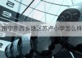 南宁市西乡塘区苏卢小学怎么样(南宁市西乡塘区环境卫生管理站官网)