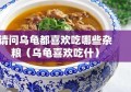 请问乌龟都喜欢吃哪些杂粮（乌龟喜欢吃什）