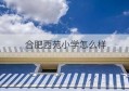 合肥西苑小学怎么样(合肥西苑南区小学怎么样)