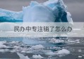 民办中专注销了怎么办(公司如何注销)