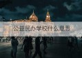 公益民办学校什么意思(民办公益机构)