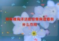 珀莱雅海洋活能密集保湿霜有什么作用