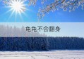 龟龟不会翻身(神里龟龟是什么梗)