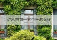 许昌市第十五中学怎么样(许昌市第十五中学在哪)