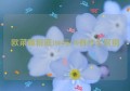 欧莱雅粉底100与110有什么区别