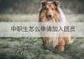 中职生怎么申请加入团员(中职生可以考哪些大学)