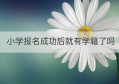 小学报名成功后就有学籍了吗