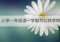 小学一年级读一学期可以转学吗(幼儿园大班读半学期转学可以吗)