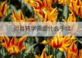 同县转学需要什么手续(同县城转学籍好转吗)