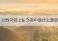 分数只够上私立高中是什么意思(高中分数线2023年公布)