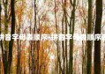 拼音字母表顺序-拼音字母表顺序表