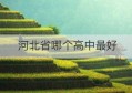 河北省哪个高中最好(河北那所高中比较好)