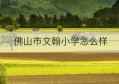 佛山市文翰小学怎么样(佛山文翰小学是公办的吗)