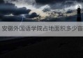 安徽外国语学院占地面积多少亩(安徽外国语学院属于哪个镇)