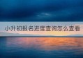 小升初报名进度查询怎么查看(小升初网上报名怎样查询录取结果)