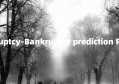 bankruptcy-Bankruptcy prediction Python