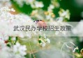 武汉民办学校招生政策(武汉民办学校网上报名)