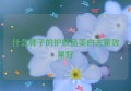 什么牌子的护肤品美白去黄效果好