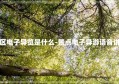 景区电子导览是什么-景点电子导游语音讲解