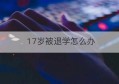 17岁被退学怎么办(17岁可以退学吗)