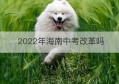 2022年海南中考改革吗(海南中考改革从什么时候开始)