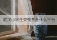 武汉小学生交餐费是什么平台(武汉房地产经纪服务平台系统登录)