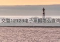 交管12123电子票据怎么查询(交管12123电子版驾驶证怎么下载)