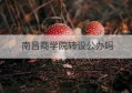 南昌商学院转设公办吗(南昌商学院收费一览表)