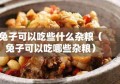 兔子可以吃些什么杂粮（兔子可以吃哪些杂粮）