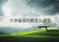 大学留级的都怎么样了(大学留级是什么感觉)