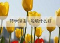 转学理由一般填什么好(转学原因一般填什么)