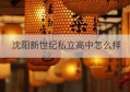 沈阳新世纪私立高中怎么样(沈阳新东方高中怎么样)