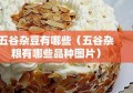 五谷杂豆有哪些（五谷杂粮有哪些品种图片）